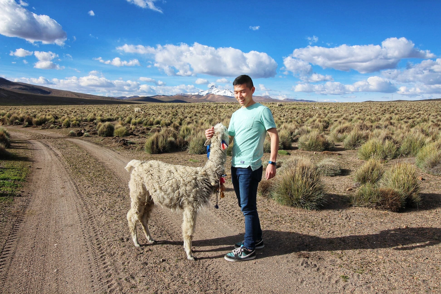 Raymond petting a llama in Sajama National Park, Bolivia